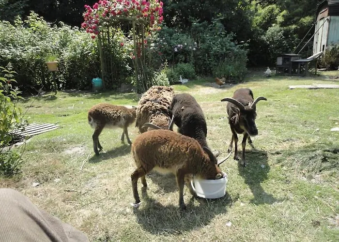 Tinyhouse On Wheels * Schortens